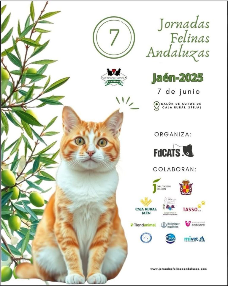 Jornadas Felinas Andaluzas