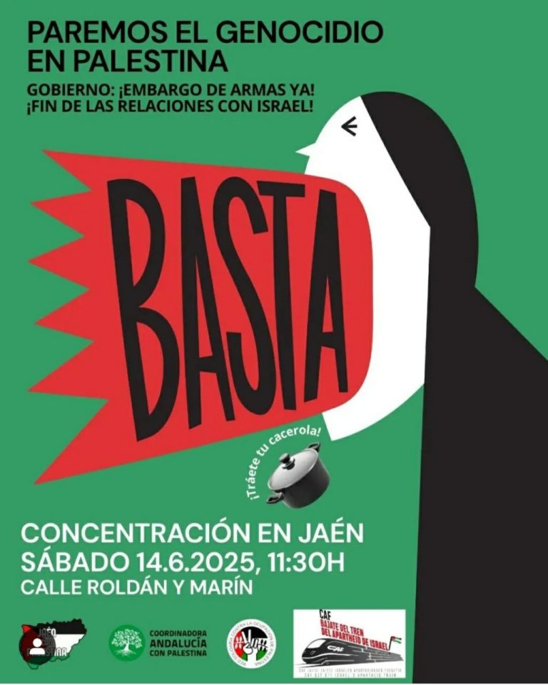 Concentración Paremos el Genocidio en Palestina