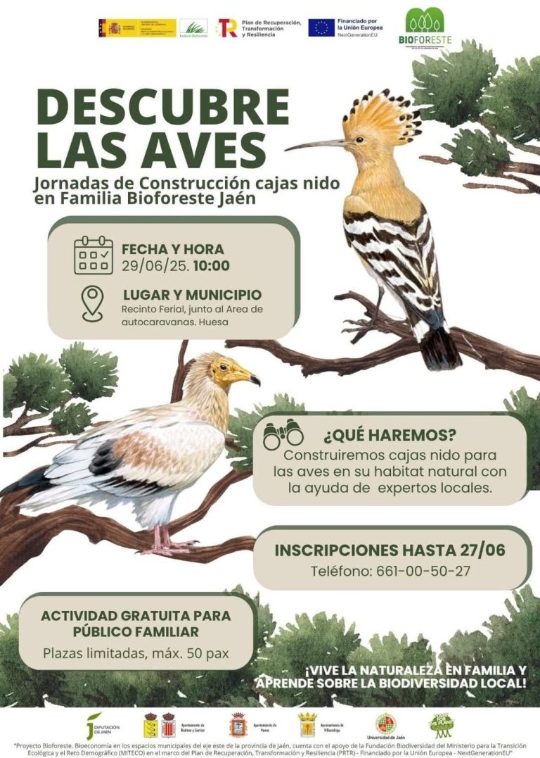Descubre las aves