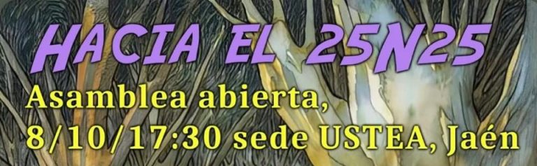 Asamblea Abierta Hacia el 25N25