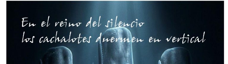 En el reino del silencio los cachalotes duermen en vertical