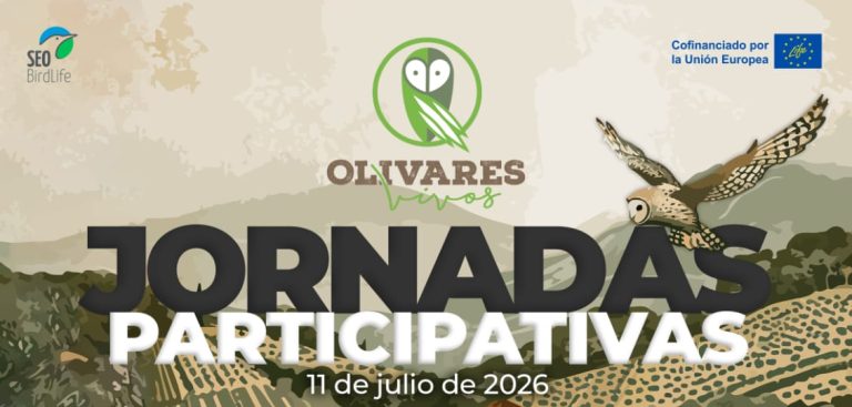 Jornada participativa Olivares Vivos